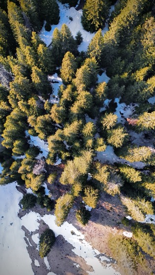 Vedere aeriană — categoria Dronă, cadru 2