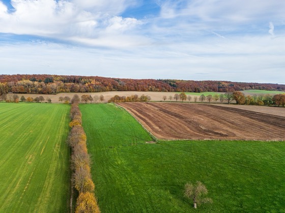 Vedere aeriană — categoria Dronă, cadru 24